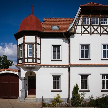 Vila Witke Dolní Dunajovice المظهر الخارجي الصورة